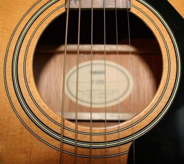 Akustinė gitara Yamaha F310