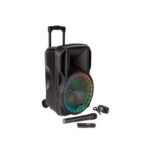 Nešiojama kolonėlė PARTY-12RGB