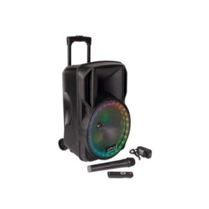 Nešiojama kolonėlė PARTY-12RGB