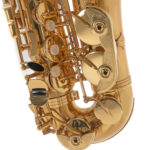 Alto saksofonas Roy Benson AS-202