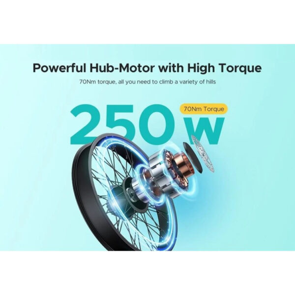 Dviratis 26" elektrinis Engwe E26 ST moteriškas juodas