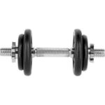 Hantelių svoriai su plastikiniu lagaminu HMS ST20 20kg, juodi