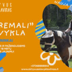 Vasaros stovyklos vaikams - nuotykiai, draugystė