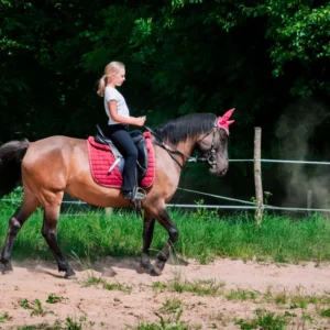 Jojimo klubas Night Rider – žirgų magija