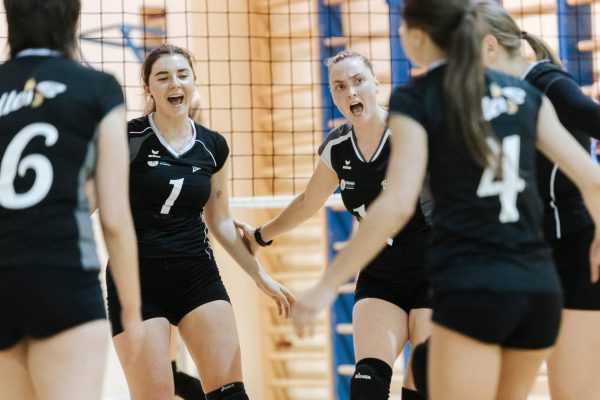 Salės ir paplūdimio tinklinio treniruotės Vilniuje