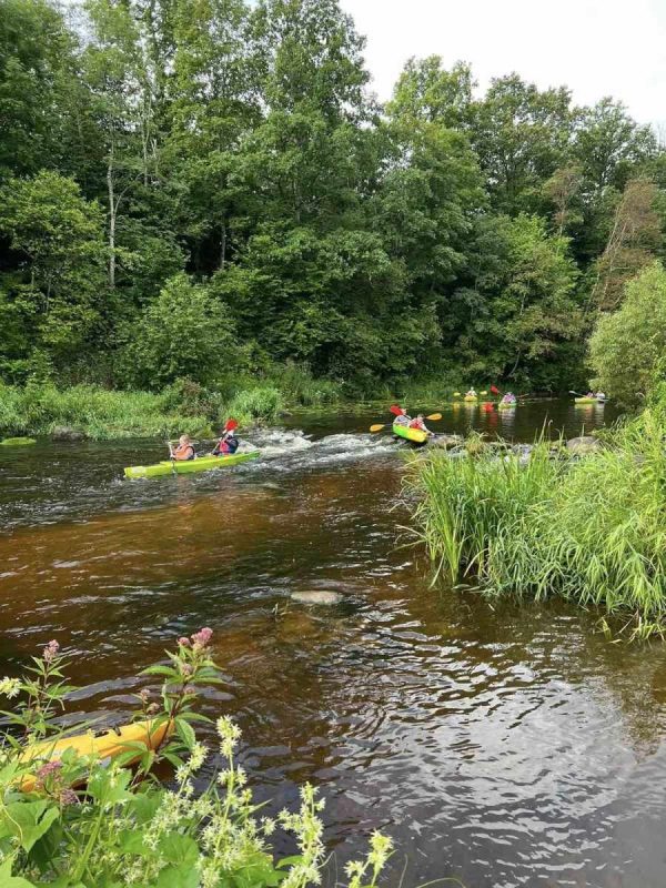 TURISTAUK.LT / Stovyklavietė Dobilų Slėnis: baidarės ir nameliai prie Jūros upės