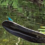 TURISTAUK.LT / Stovyklavietė Dobilų Slėnis: baidarės ir nameliai prie Jūros upės