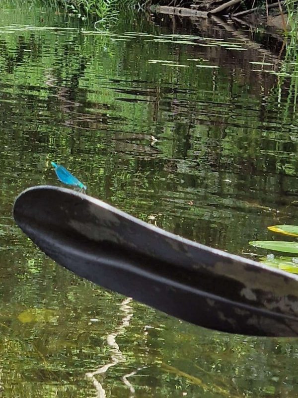 TURISTAUK.LT / Stovyklavietė Dobilų Slėnis: baidarės ir nameliai prie Jūros upės