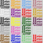 Kawasaki Ninja ZX-12R Motociklų lipdukų rinkinys