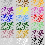 Suzuki Hayabusa Motociklų lipdukų rinkinys