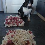 Uostymo kilimėliai šunims