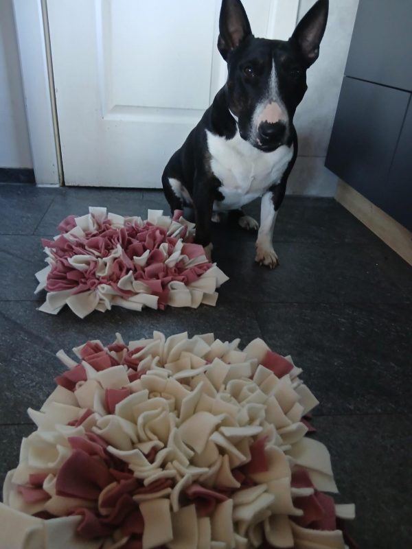 Uostymo kilimėliai šunims